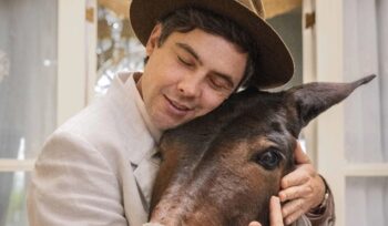Ibope da TV: Em grande fase, Êta Mundo Melhor! dispara na Globo após A Viagem