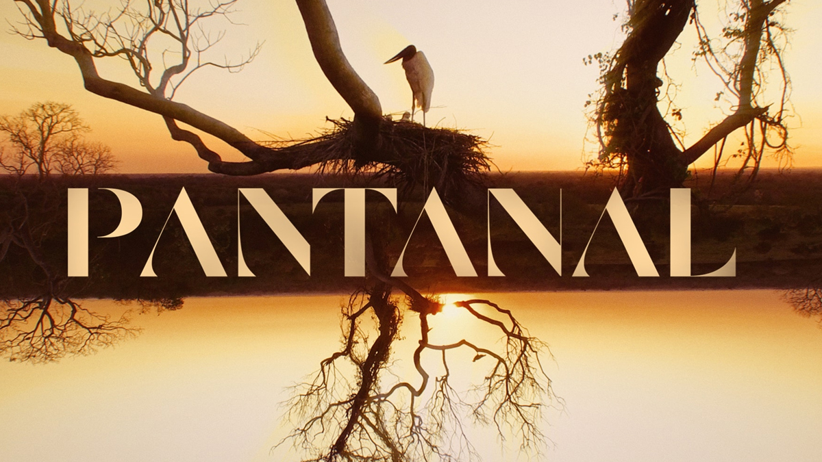 Pantanal