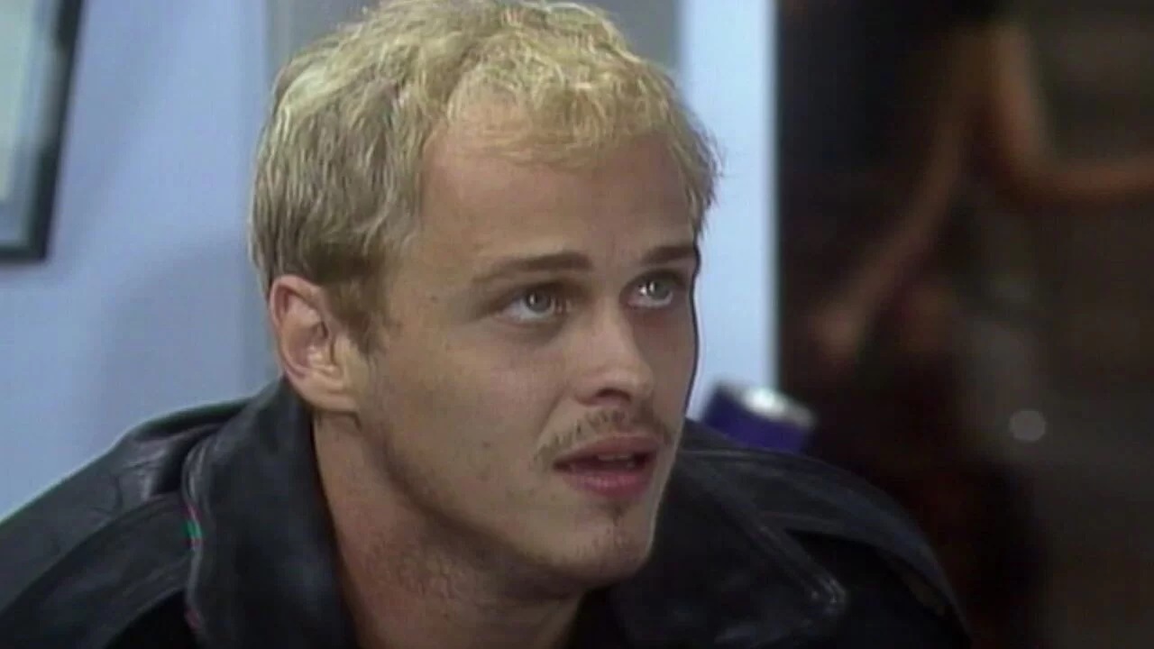 Resumo da novela A Viagem