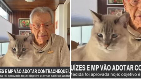 Na GloboNews, Fernando Gabeira é alvo de invasão durante fala ao vivo