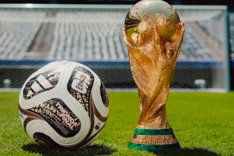 Fim da linha: Scaloni é avisado antes mesmo da Copa terminar — entenda o que aconteceu