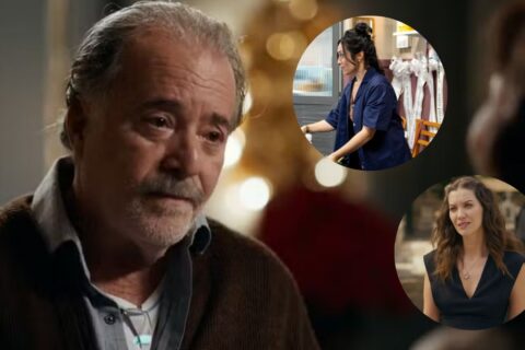 Globo aposta em namoro na 3ª idade e convoca Tony Ramos; saiba detalhes