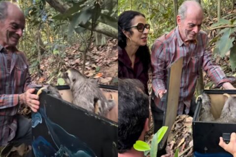 Aos 85 anos, Ney Matogrosso investe em sítio e consegue salvar mais de 10 mil animais