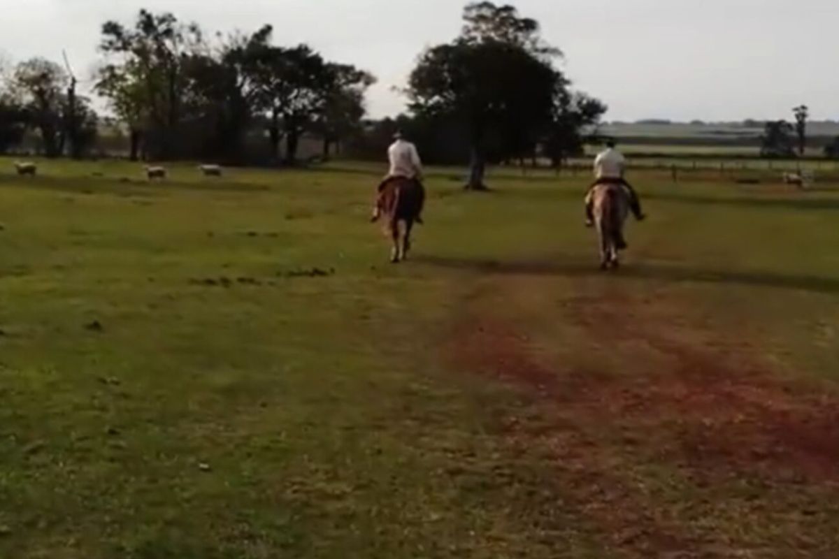 Fazenda Sérgio Reis