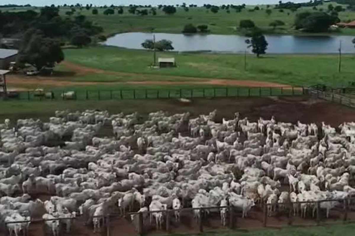 Fazenda de Amado Batista