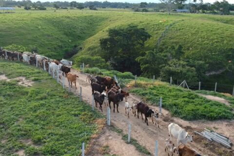 Aos 44 e 48 anos, cantores abrem as portas de megafazenda usada como refúgio pela família no interior de MG