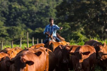 Aos 49 anos, Léo Chaves isolou a família em uma fazenda de alto padrão em MG e garantiu vista para a represa