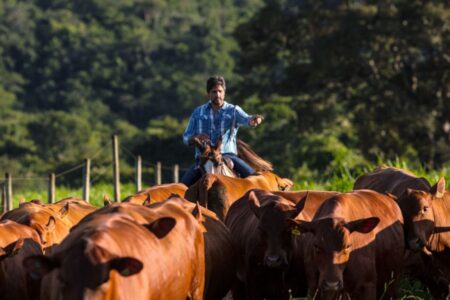 Aos 49 anos, Léo Chaves isolou a família em uma fazenda de alto padrão em MG e garantiu vista para a represa