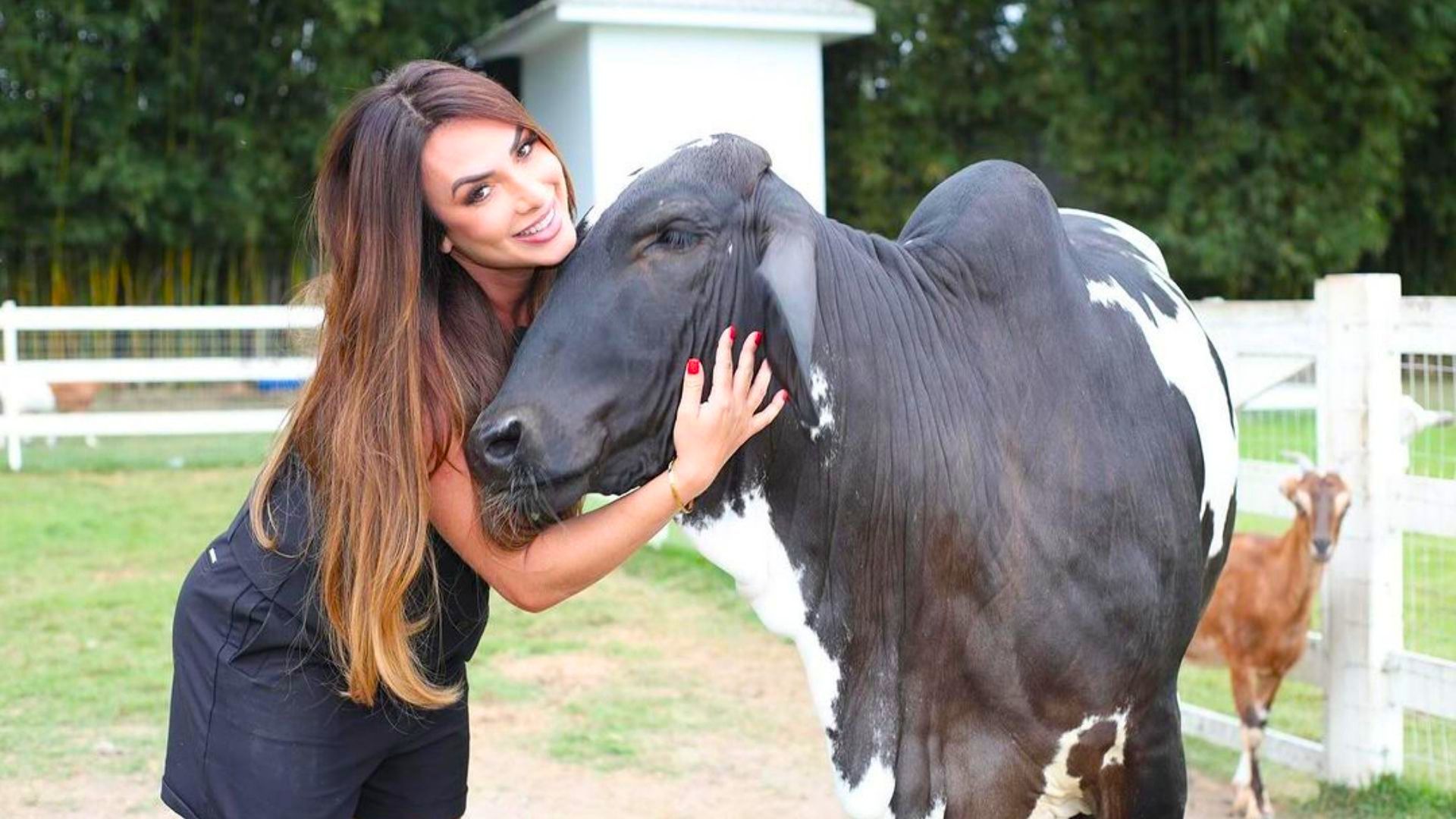 Nicole Bahls