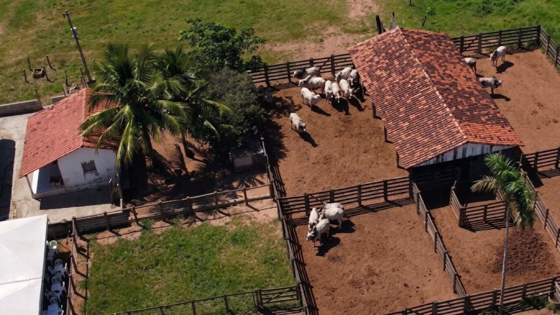Chitãozinho 