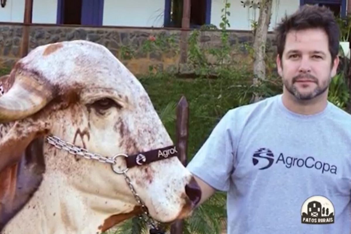 Murilo Benício