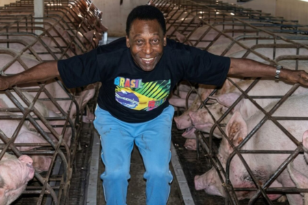 Há 70 anos, Pelé comprou 661 hectares no Vale do Ribeira, chegou a criar 1.400 animais e agora tudo está à venda por R$ 35 milhões