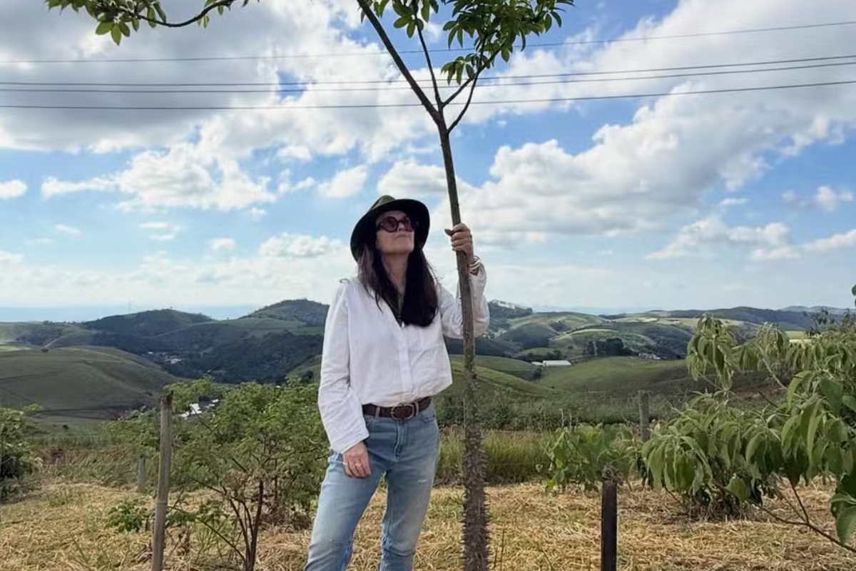 Ana Luiza Guimarães